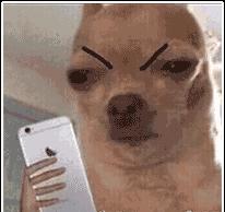 DƬ
